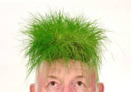 Grass on an old mans head