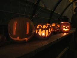 Pumpkins at Kings Cross