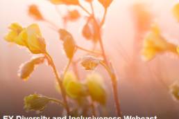 EY-Making-it-real-event-image-thumbnail