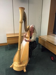 Our lovely Harpist