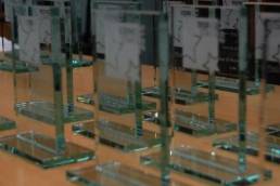 Rising Star Award trophies