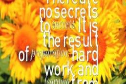 voice at the table featured