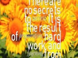 voice at the table featured