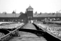 holocaust memorial day featured