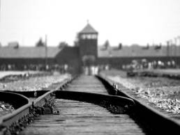 holocaust memorial day featured