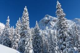 snowy mounatain featured