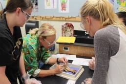 woman teaching science flexible working featured