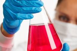 Women in science feature