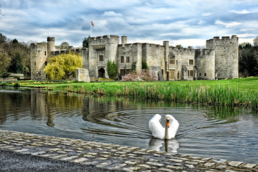 Allington castle - Charity Fundraiser (F)