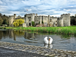 Allington castle - Charity Fundraiser (F)