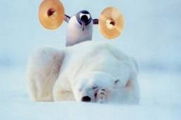 Genius, Power, Dreams