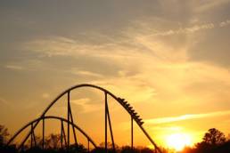 What state are you in? Kay White