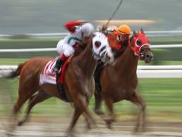 female-jockeys-riding-in-a-race-featured