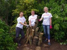 royal parks initiative featured