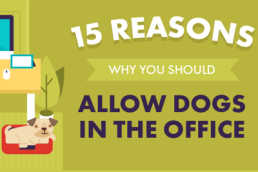 DESIGN -15 Reasons Why You Should Allow Dogs in the Office featured
