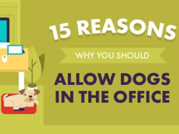 DESIGN -15 Reasons Why You Should Allow Dogs in the Office featured