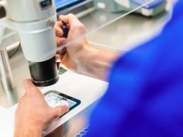 Evewell lab, fertility featured