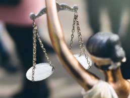 balancing act, law featured