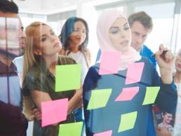 lost in translation, migrant professional featured