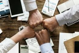 male, pale and stale featured