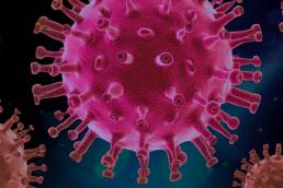 COVID-19, coronavirus, virus