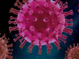 COVID-19, coronavirus, virus