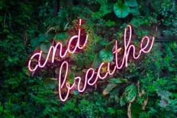 and breathe neon sign, wellness