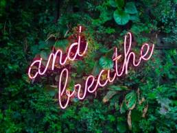 and breathe neon sign, wellness