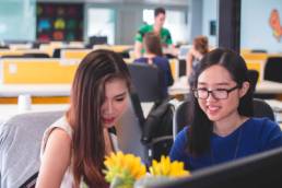 Two Asian women working together in an office, working women