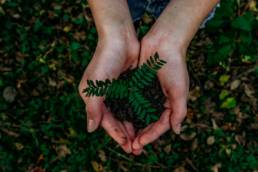 woman holding tree, building a sustainable brand
