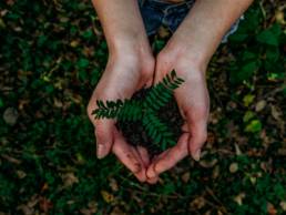 woman holding tree, building a sustainable brand