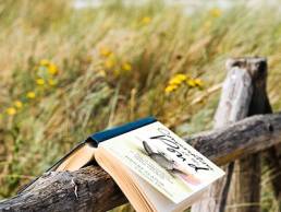 Conversations at the pond, Henry Slator featured