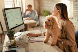 Young happy businesswoman working on a computer while being with her dog in the office.