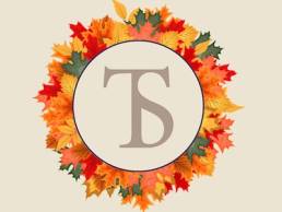 TS Menopause Workshop