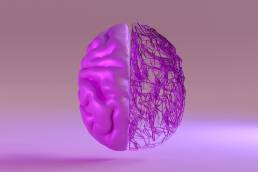Neurodiversity, rendered image of purple brain