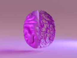 Neurodiversity, rendered image of purple brain